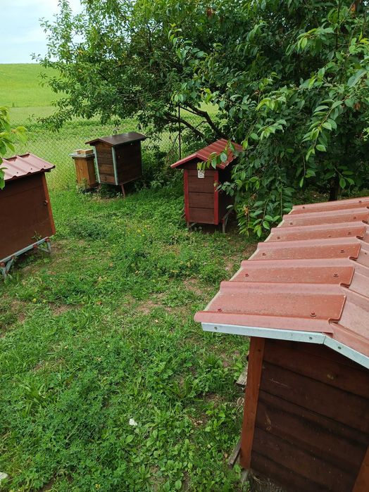Miód Naturalny z własnej pasieki