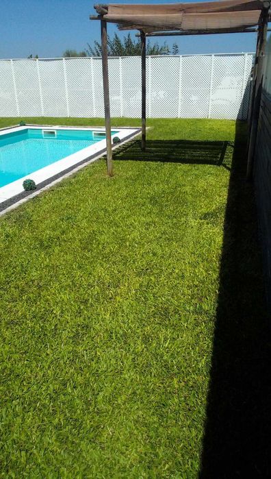 Manutençao de Jardins e espaços verdes