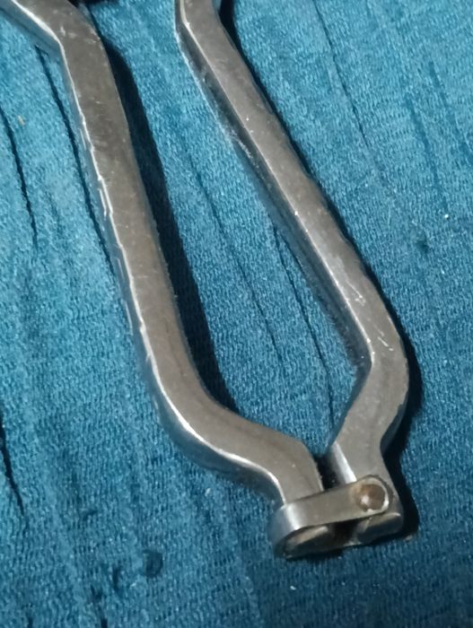 Tesoura de trinchar vintage