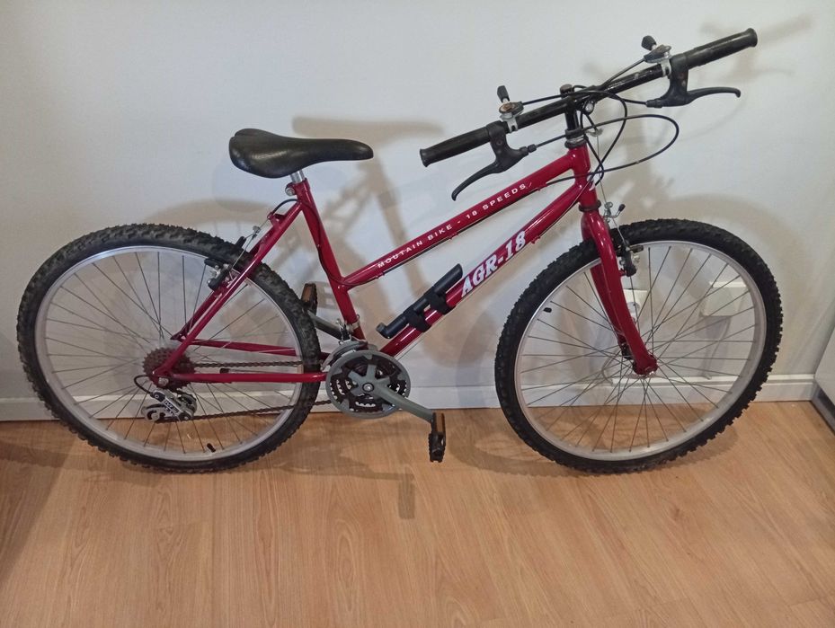 Bicicleta, exercício saudável e Natal próximo