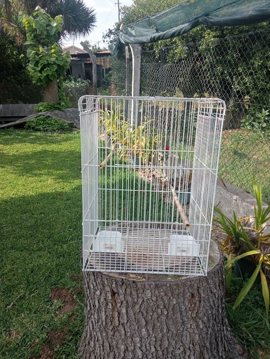 Gaiola para pássaros