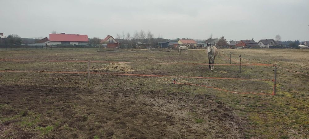 Piekna Działka  27,5 ara