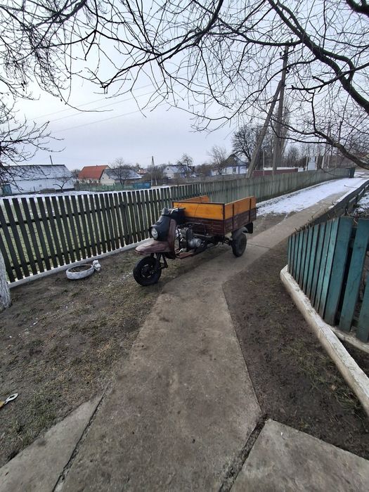 Продам муравей 2 м