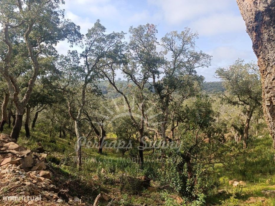 Terreno Rustico São Francisco da Serra