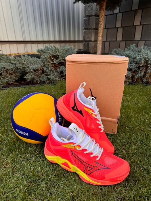 Волейбольні кросівки мізуно momentum 3