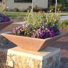 VASOS de Plantas em cimento