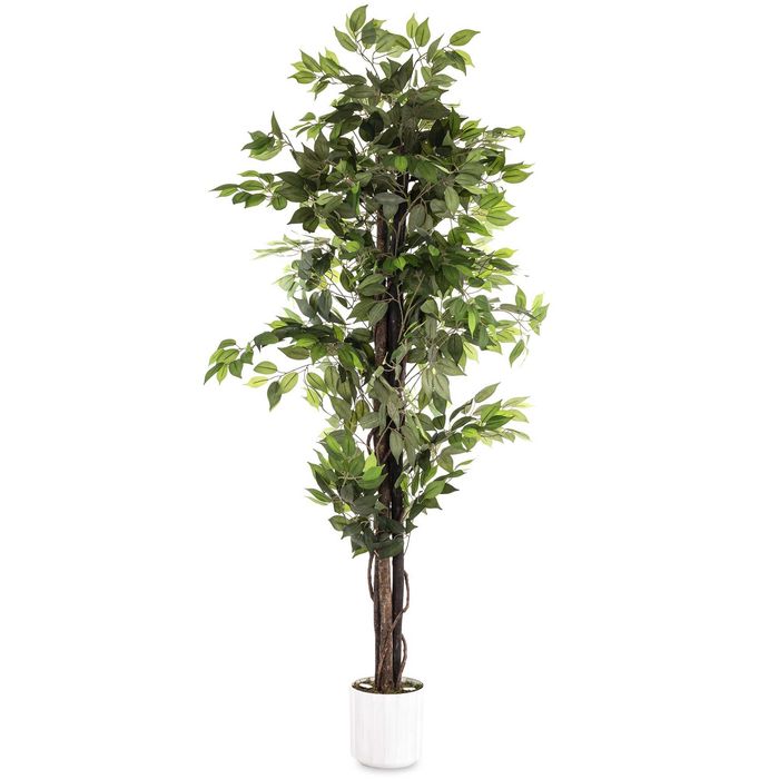 Figowiec benjamina duża roślina drzewko dekoracyjne LED 198cm 176832
