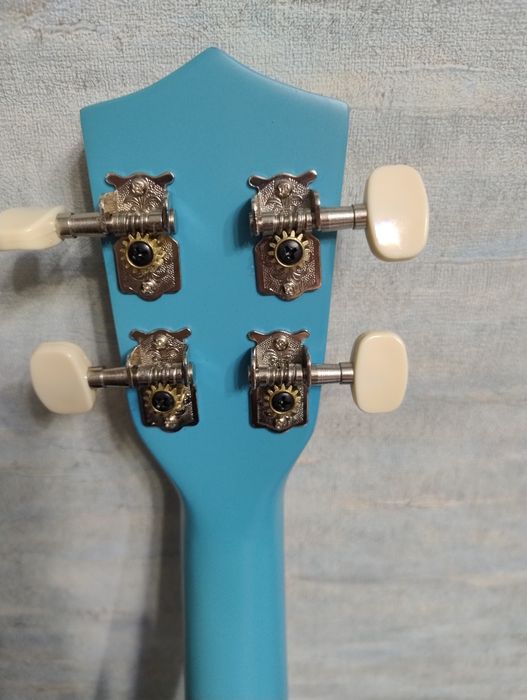 Укулеле Kapua Figure UKU2-LBL (сопрано) з чохлом.

Це фітнес-колесо Do