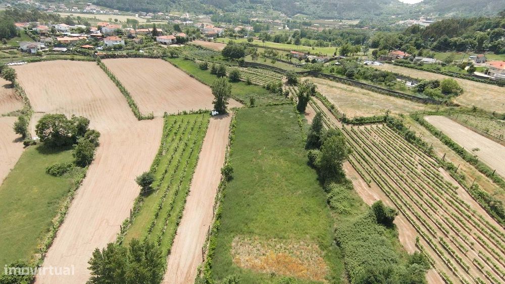 Terreno Agrícola  em Longos/Guimarães — Longos, Braga
