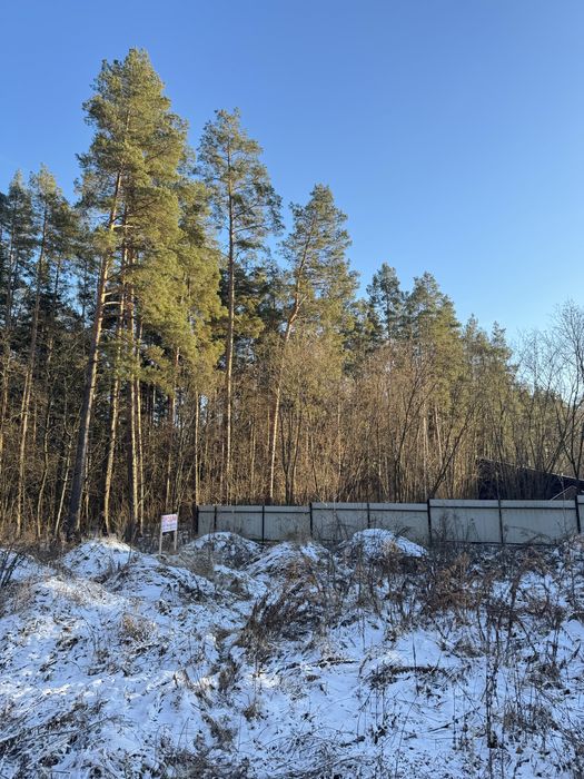 Продам ділянку с виходом до Заповідного Лісу