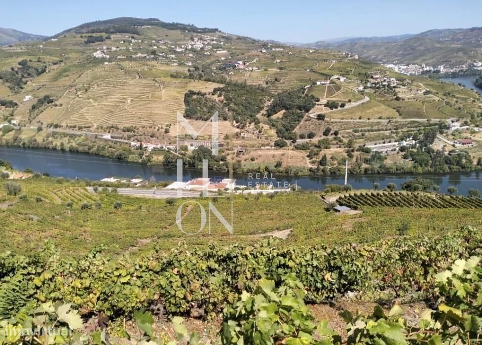 Estate with 3 hectares and unobstructed views of the Douro River