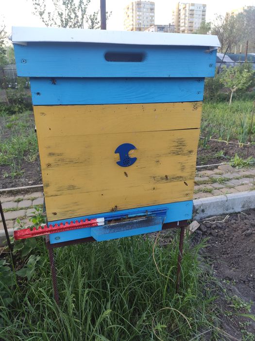 Вулик на 10 рамок дадан