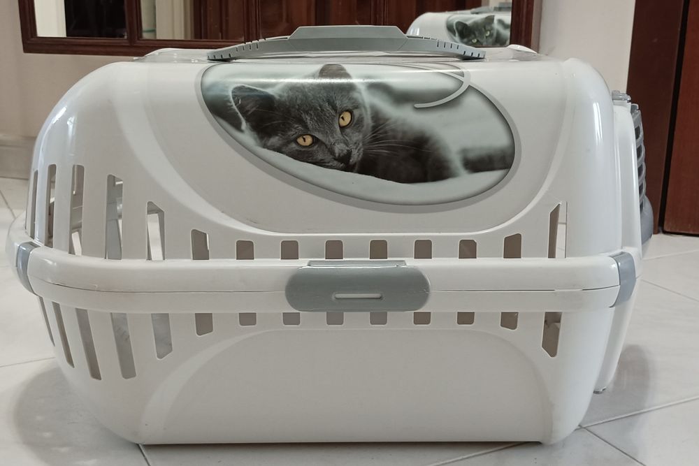 Caixa transportadora gato