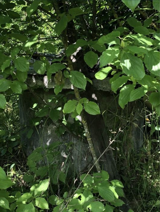 Продам ділянку 35соток під будівництво Київська обл