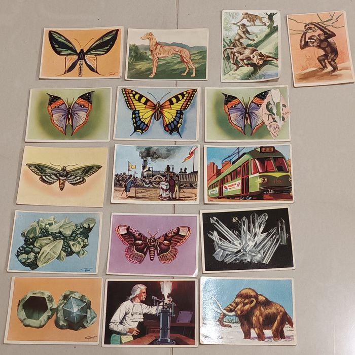 Enciclopédia cultura cromos antigos