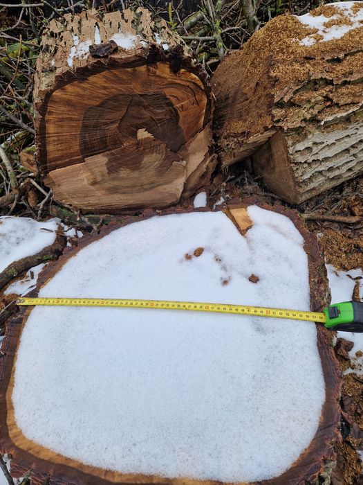 Горіх, деревина, кругляк, свіжоспиляний