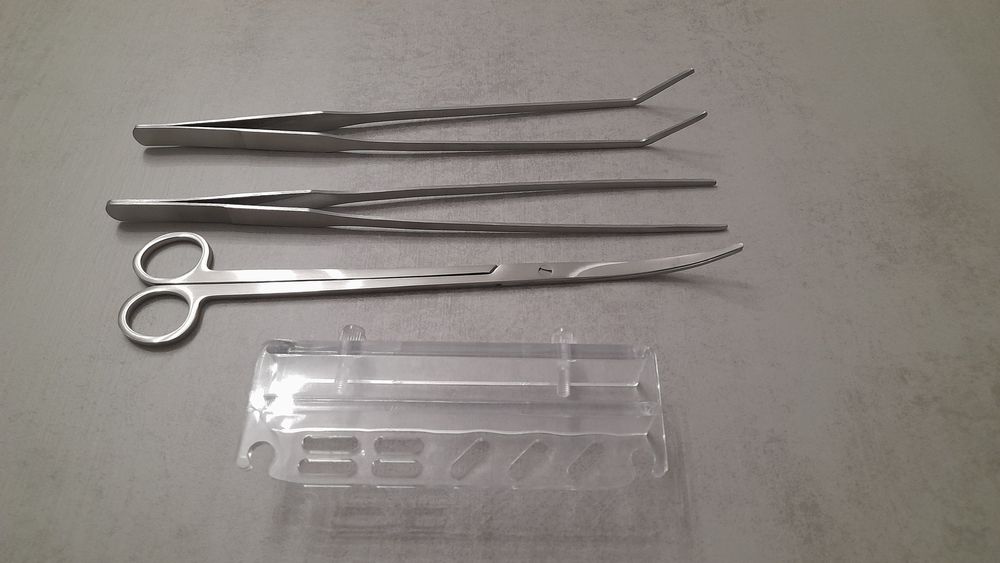 Manutenção plantas aquário