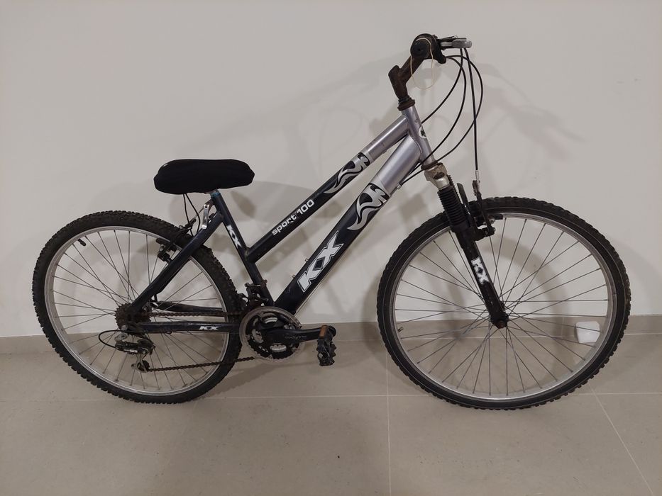 Bicicleta e capa de selim
