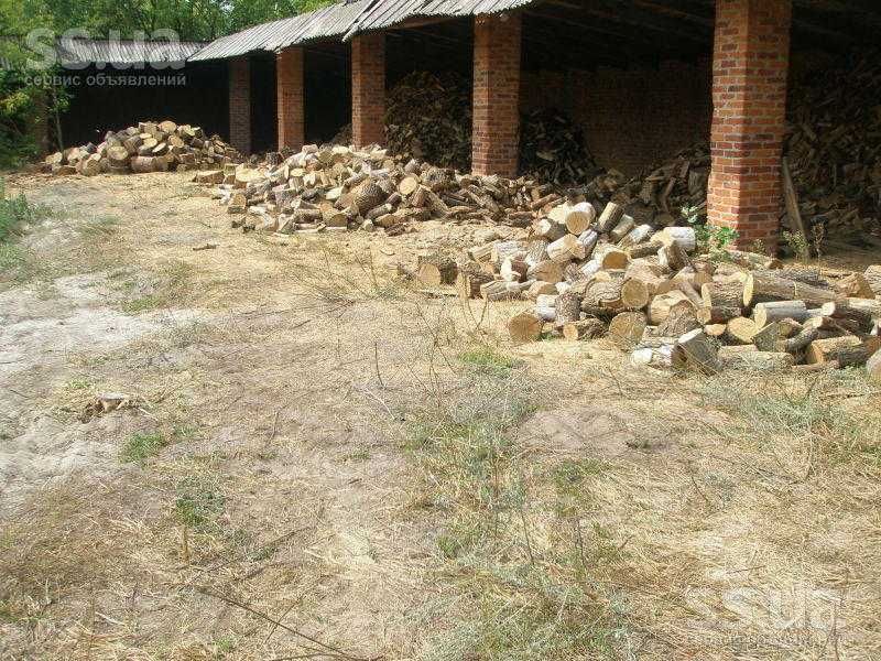 Колоті дрова дубові Дрова березові кленові соснові з доставкою