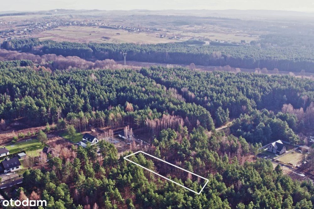 W nowej cenie - Piękna działka w otoczeniu lasu