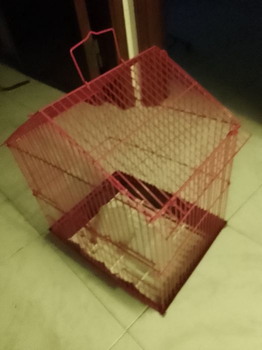 Gaiola em metal a vermelho