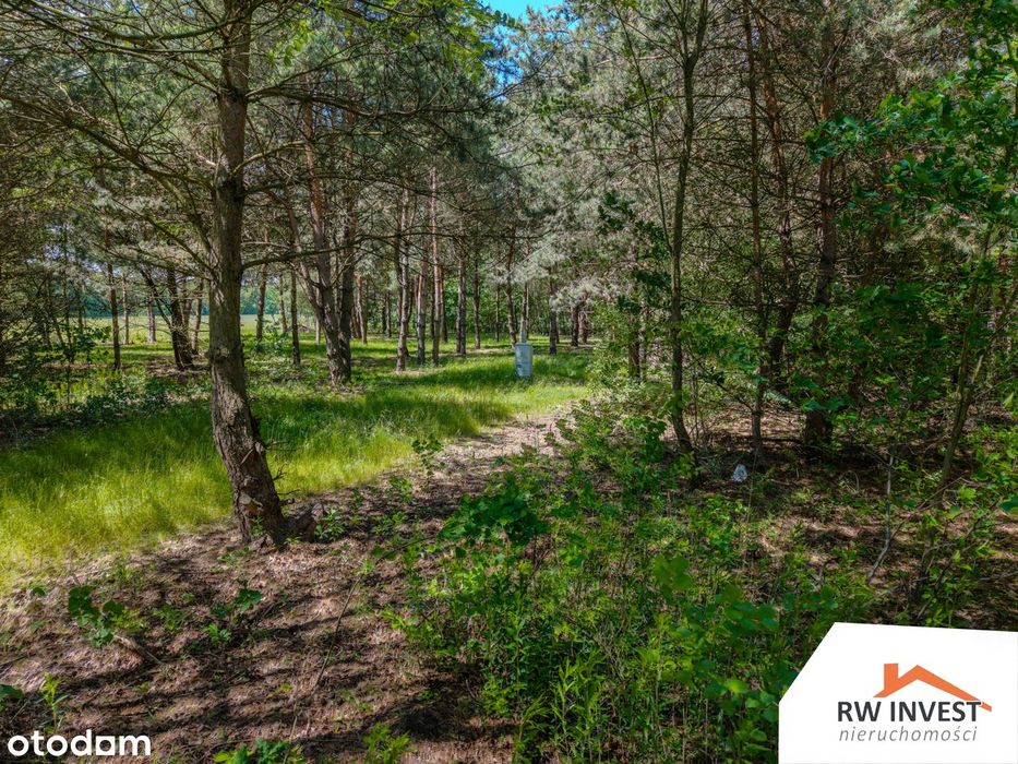 Działka budowlana 975 m² – Mieszkowo | MPZP | Blisko S7| 15minWarszawa