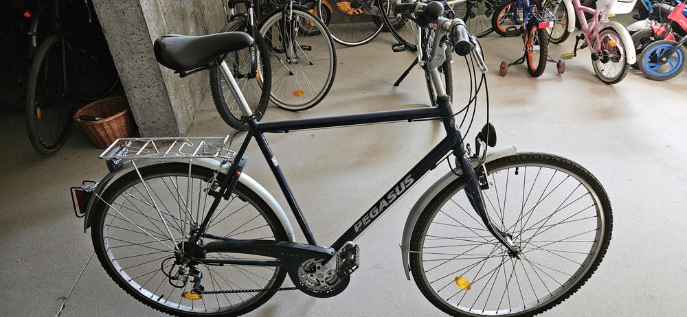 Rower Pegasus duża rama