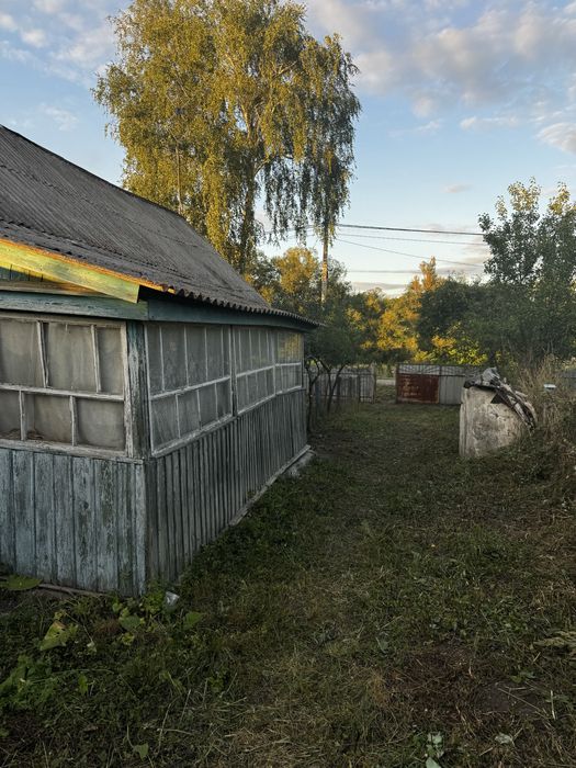 Продаж Будинок с. Кодня 50 сот землі