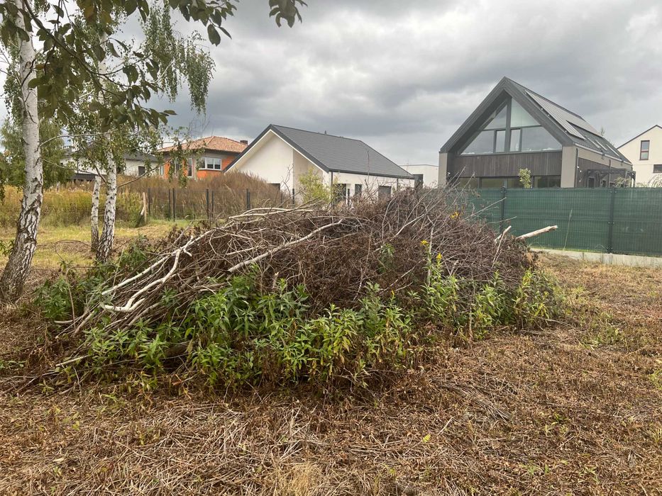 Gałęzie gałęziówka oddam za darmo