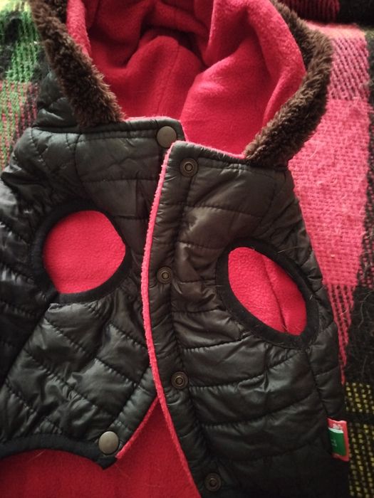 Курточка для собак