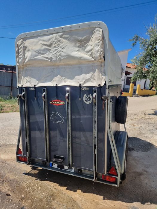 Atrelado 2 cavalos