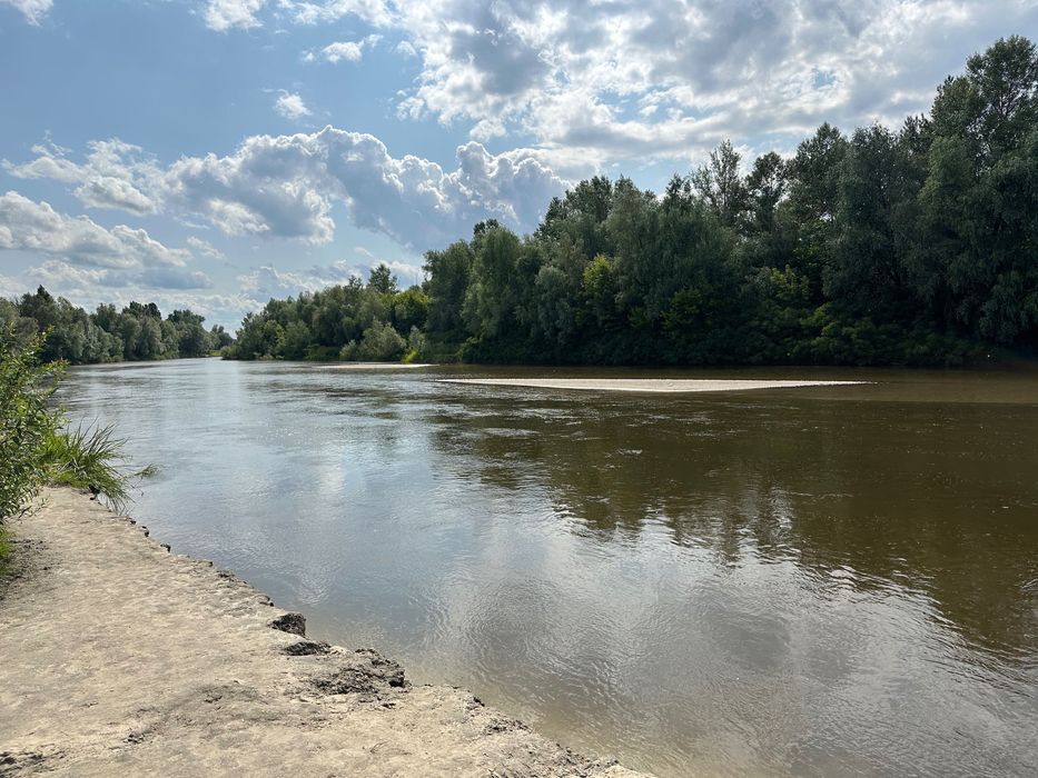 Здам в оренду Будинок Riverside 1 біля річки Десна , Любич на пляжі