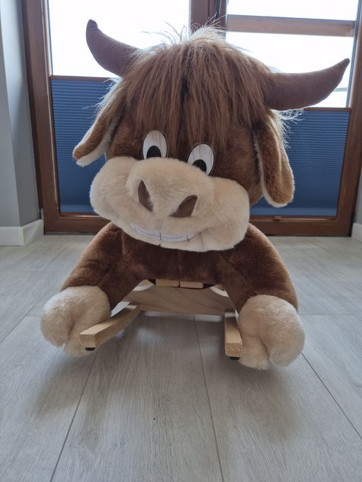 Bujaczek byk na biegunach