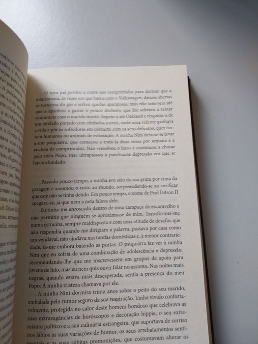O Caderno de Maya. Portes incluídos.