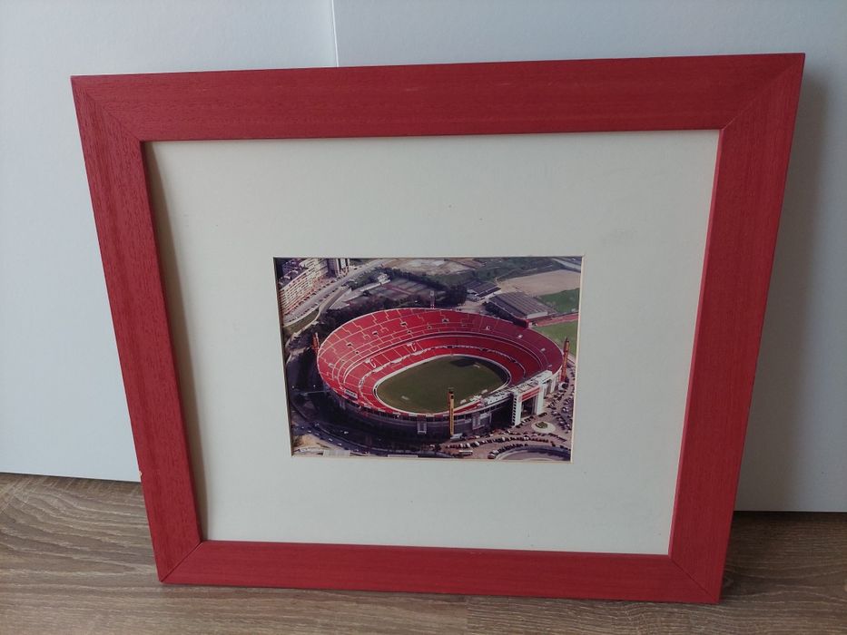 estádio luz 1954 Benfica