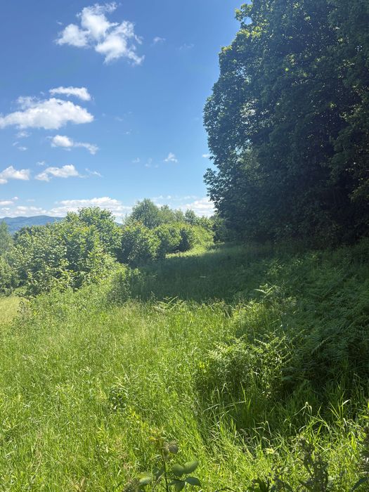 Działka budowlana 1302 m² – Grzechynia (gmina Maków Podhalański)