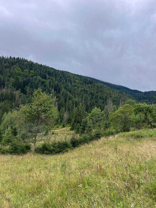 Ділянка в Карпатах, Микуличин 25сот,біля потічка, власник
