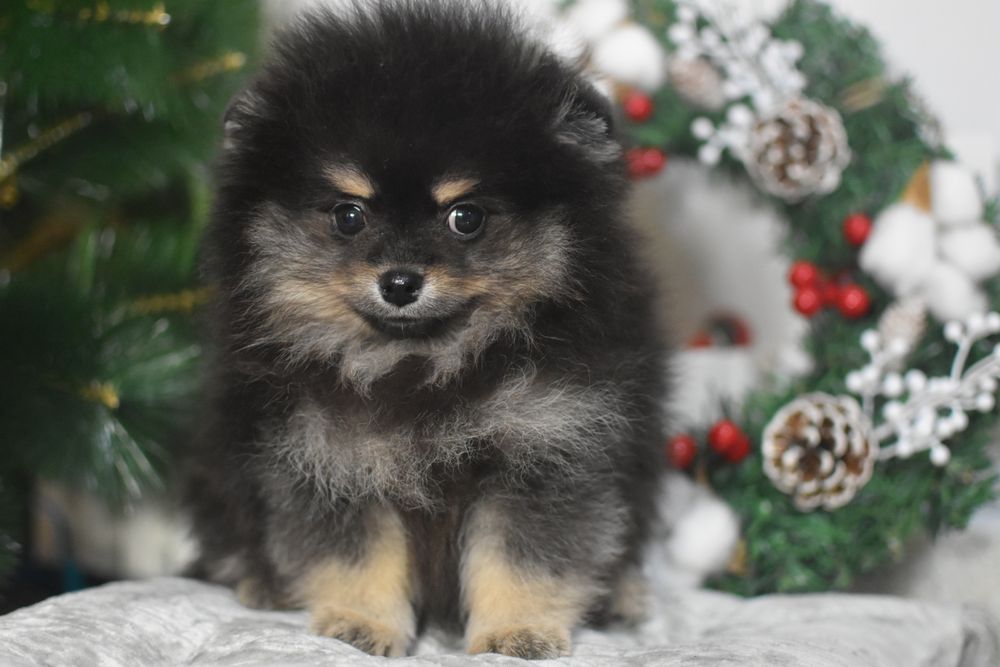 Хлопчик Чудовий