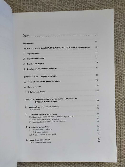 Gafanha da Nazaré: Escola e comunidade numa sociedade em mudança