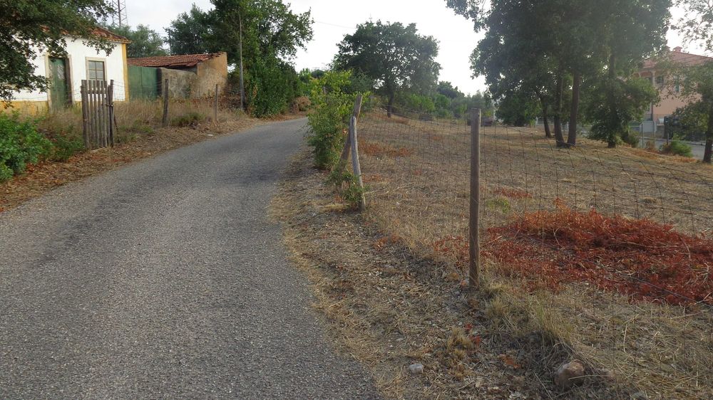 Moradia independente inserida num terreno com 15.000 m2