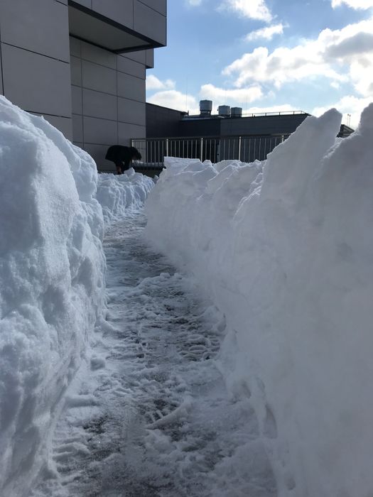 Чистка сніг бурульки прибрати сніг снег Киев