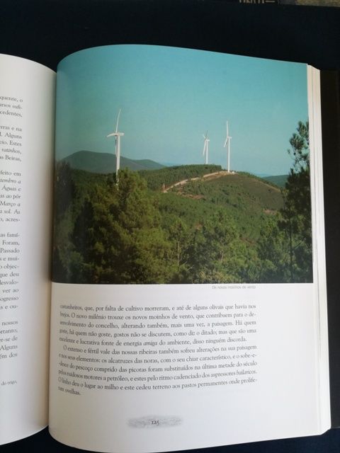 Meimoa de Ontem e de Hoje.