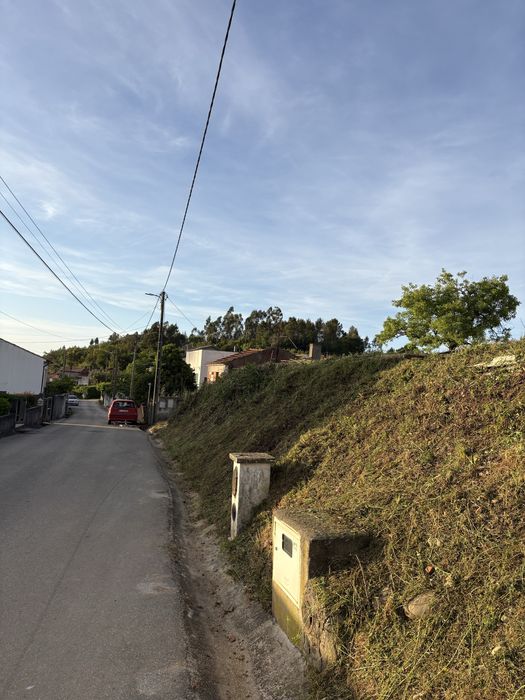 Limpeza de terrenos / jardins
