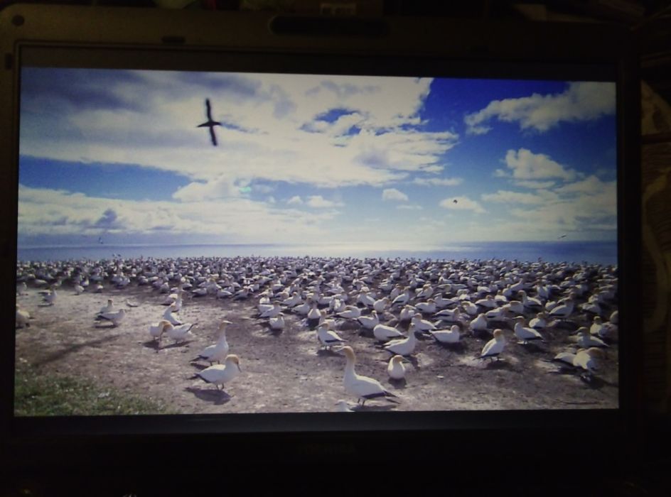 Срочно на Усилитель Pioneer = ноутбук
Windows 11pro 
Ssd 16/3Gb 
USB