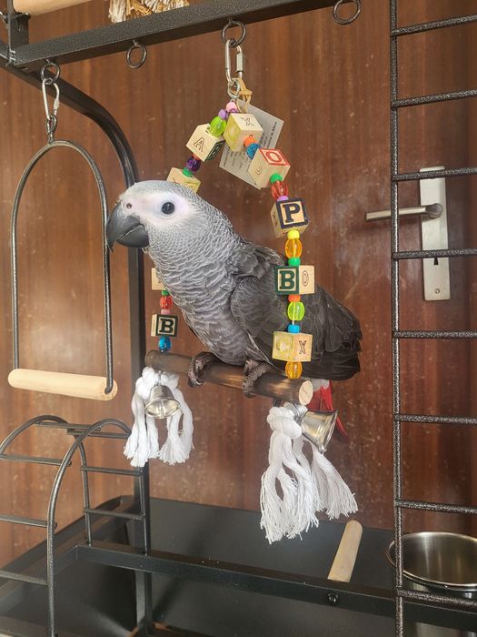 Gaiolas diversos modelos