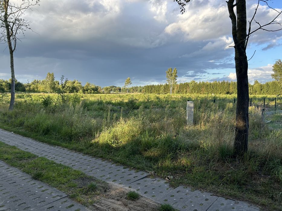 Dzialka pod zabudowe - Widok 3