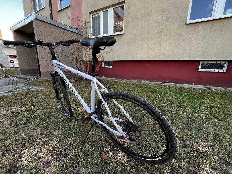 Rower 28 Kands Crossline 1100, rama 21"