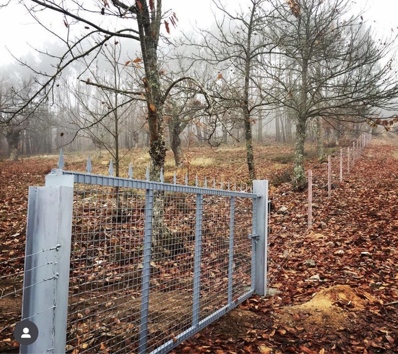 Monte totalmente vedado 12 ha. Aluguer ou venda pela melhor oferta.