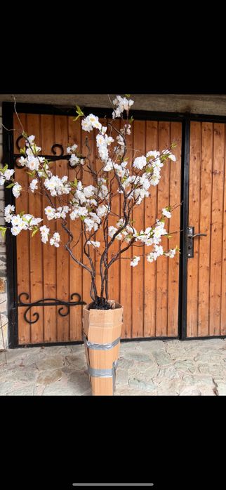 Бамбук штучний дерева