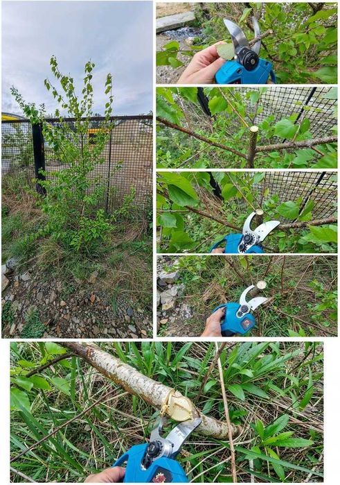 ZESTAW NARZĘDZI OGRODNICZYCH Na Wysięgniku Teleskopowym Piła Sekator